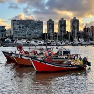 Puerto del Buceo à Montevideo