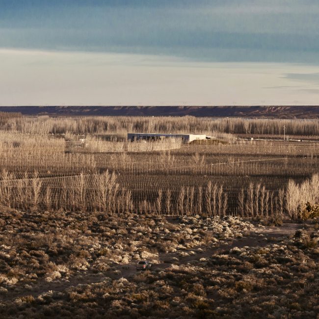 Vue panoramique de la Bodega Malma